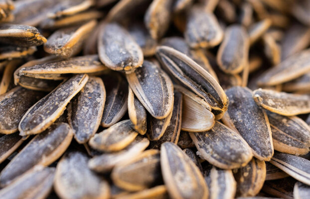 Re-exporting Ukrainian sunflower seeds: what businesses need to know